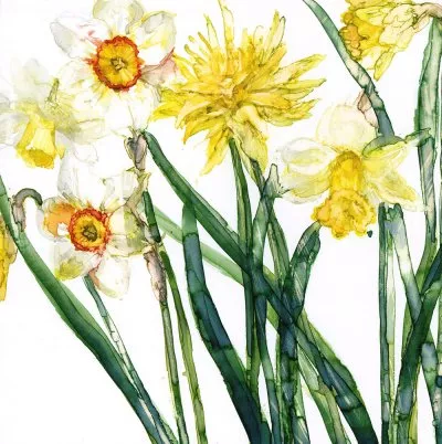 Narcissus Greeting Card