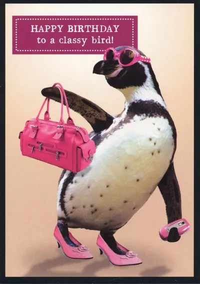 Classy Bird Birthday Card
