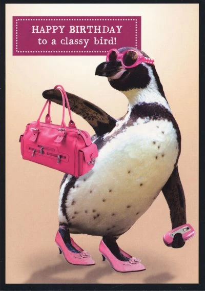 Classy Bird Birthday Card