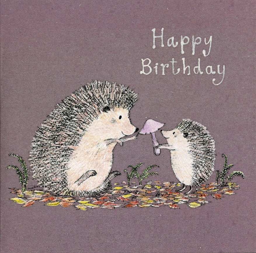 Forest Treasure Birthday Card