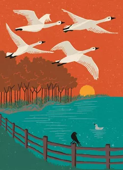 Beautiful Birds Greeting Card