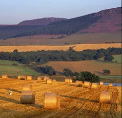 Simonside Hills Greeting Card