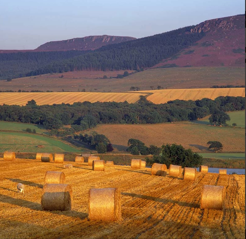 Simonside Hills Greeting Card