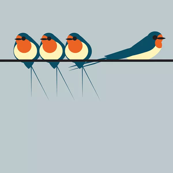 Swallows Greeting Card