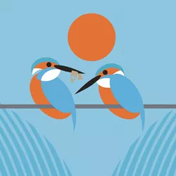 Kingfisher Greeting Card
