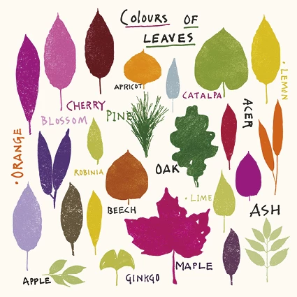 Colours of Leaves Greeting Card