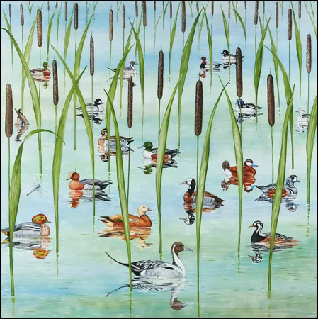 Pond Life Greeting Card