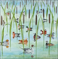 Pond Life Greeting Card