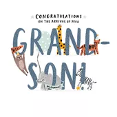 Hello and Welcome New Grandson Card