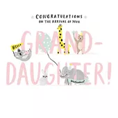 Hello and Welcome New Granddaughter Card