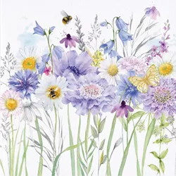 Meadow Flowers with Scabious Greeting Card