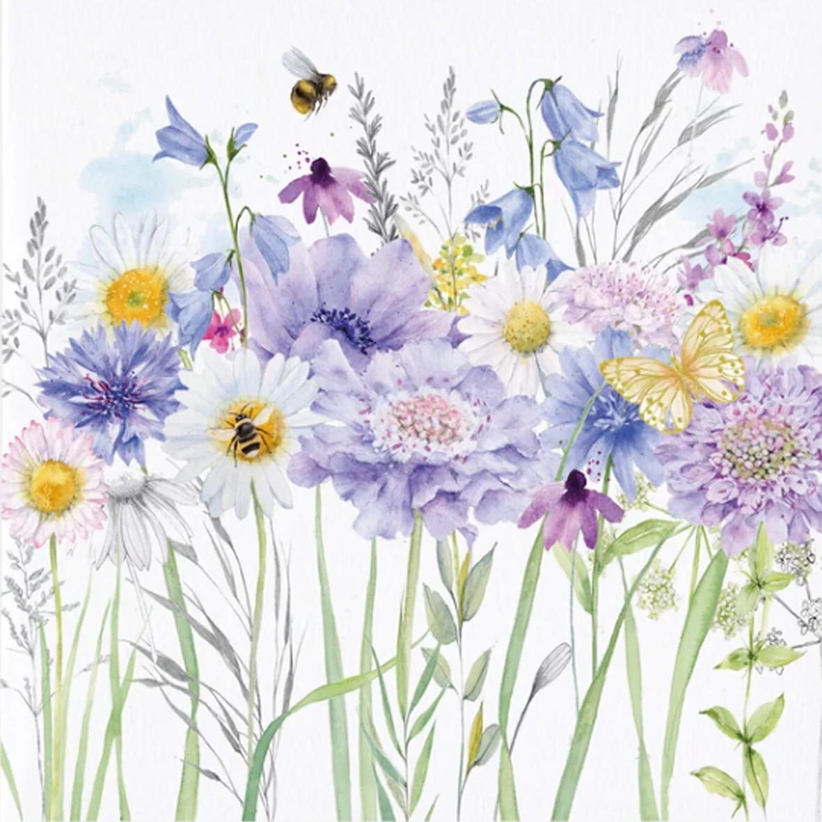 Meadow Flowers with Scabious Greeting Card