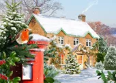 Robin on a Postbox Personalised Christmas Card