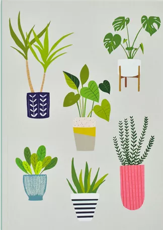 Bloom and Grow A5 Notebook