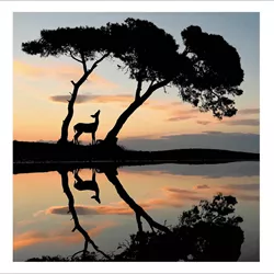 African Savannah Greeting Card
