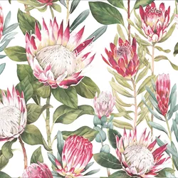 King Protea Greeting Card