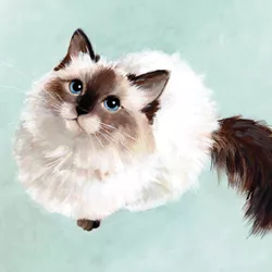 Ragdoll Cat Greeting Card