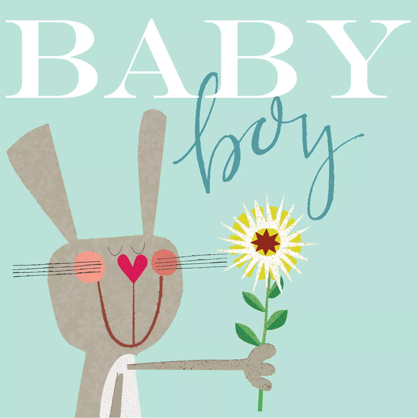 Bunny New Baby Boy Card
