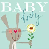 Bunny New Baby Boy Card