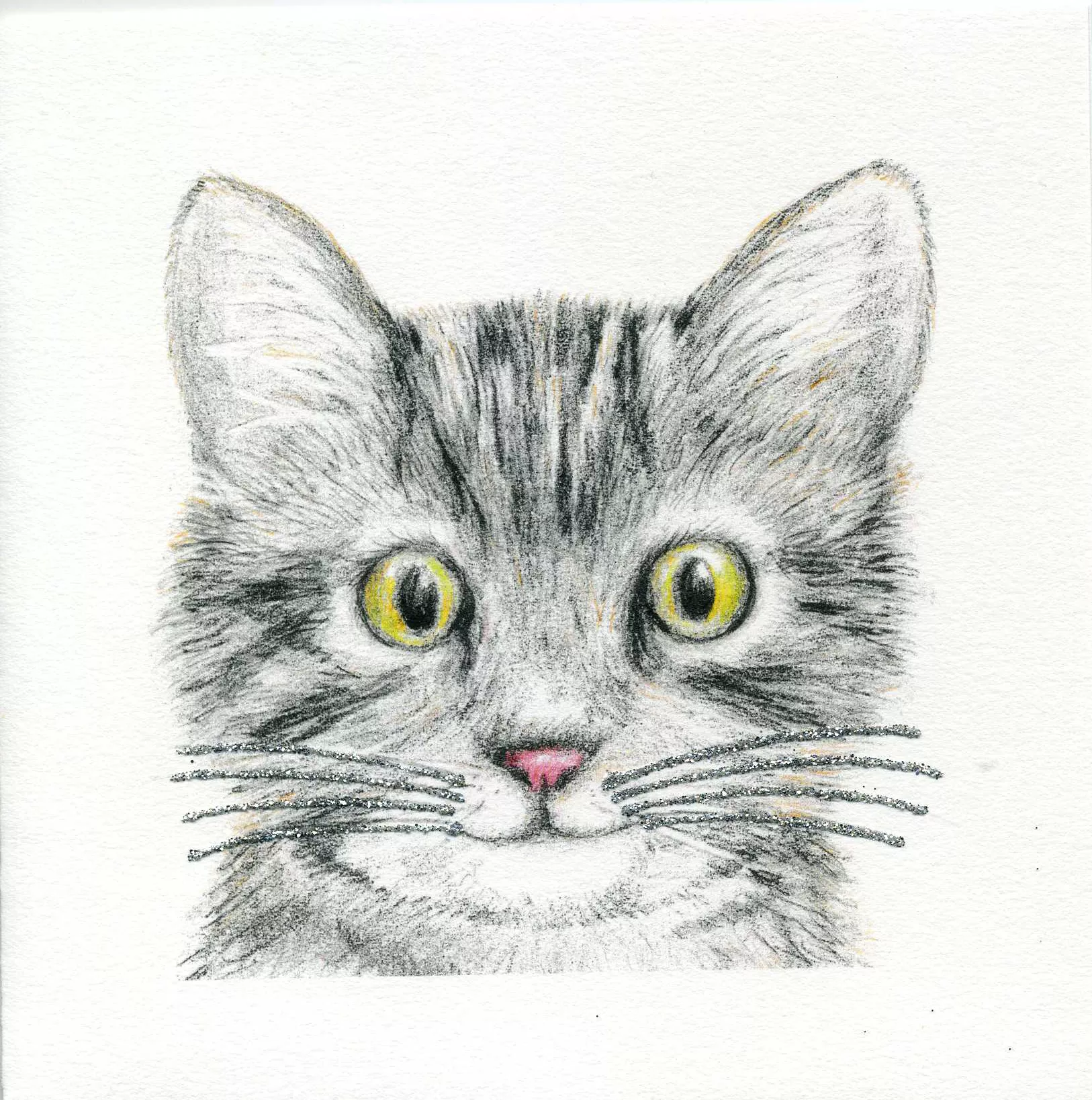 Cat Whiskers Luxury Greeting Card
