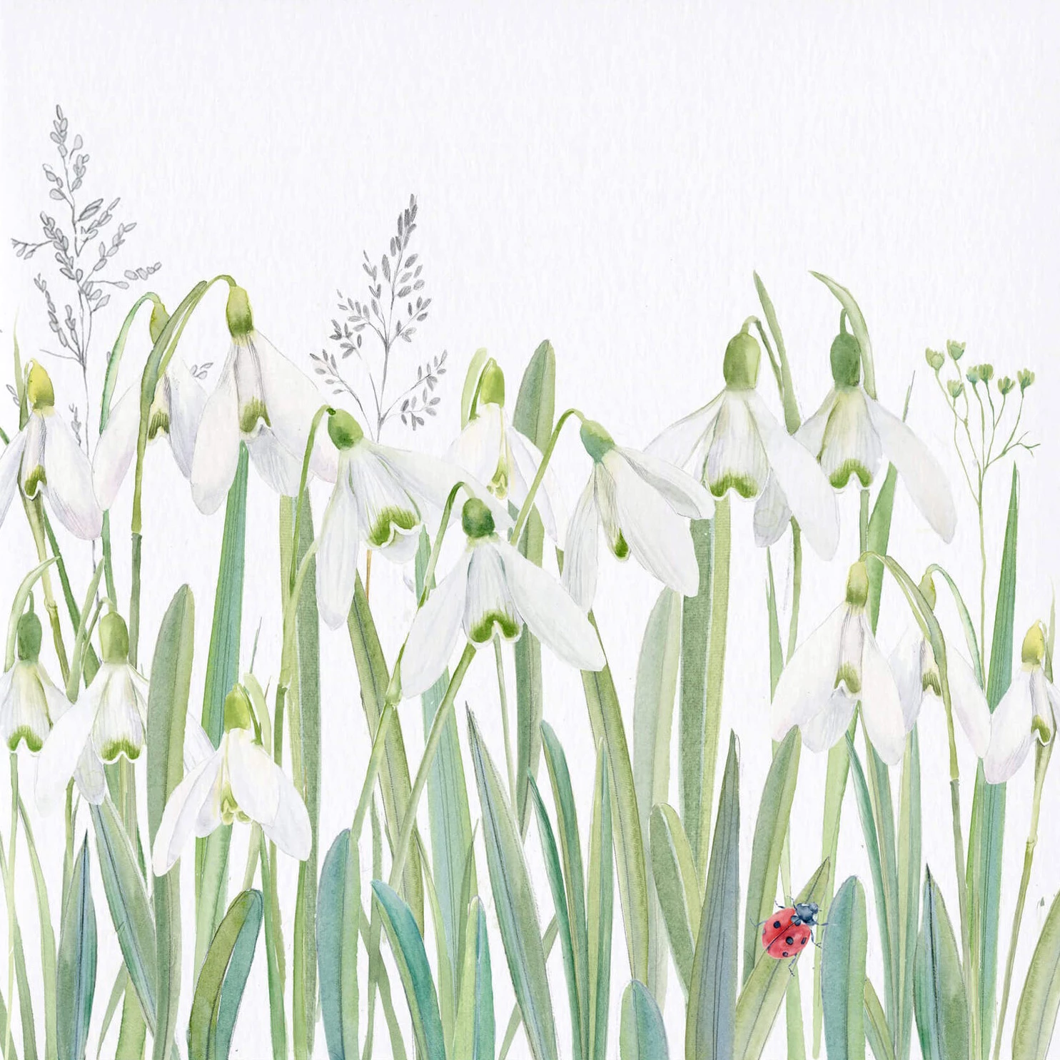 Snowdrops Greeting Card