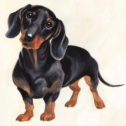 Dachshund Greeting Card