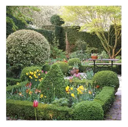 Botanical Garden Greeting Card