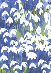 Snowdrops Sympathy Card