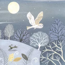 Midnight Owl Greeting Card