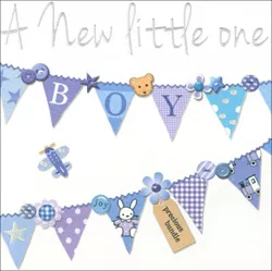 Little One New Baby Boy Card